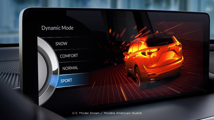 View of console display of Integrated Dynamics System main menu page.