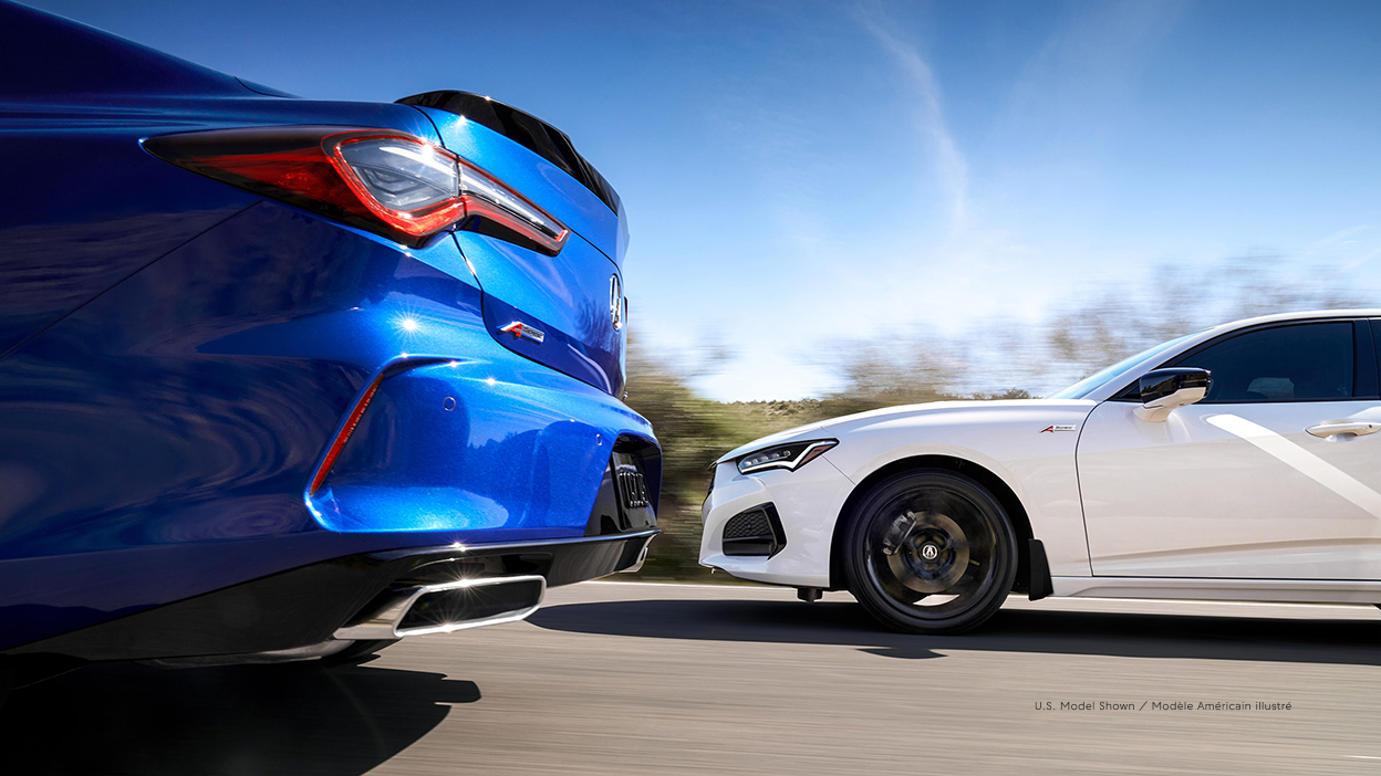 TLX bleue et TLX blanche circulant côte à côte.