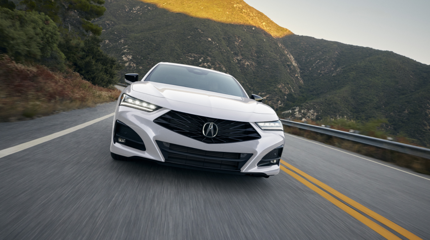 White TLX